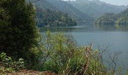 爆料罗村水库最新消息,揭秘水质改善与生态保护新进展