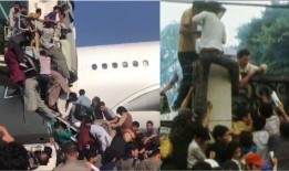 各地民众爆料视频大全,真实记录社会百态